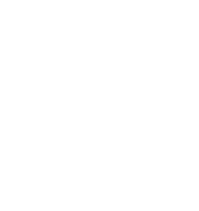 Dundee City Council Logo